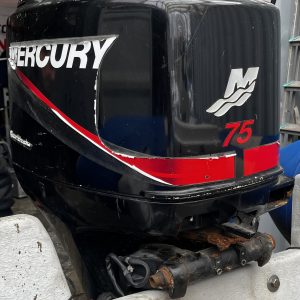 Narwhal  HD 580 bleu