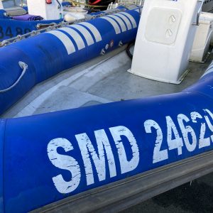 Narwhal  HD 580 bleu