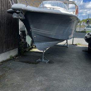 White Shark 228 gris